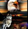 wolvemom